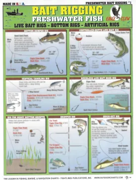 Fishermen's Freshwater Bait Rigging #1 (Live Bait Rigs, Bottom Rigs, & Artificial Rigs) - Waterproof Quick Reference Guide | Portable & Built to Last | Double-Sided & Easy to Read